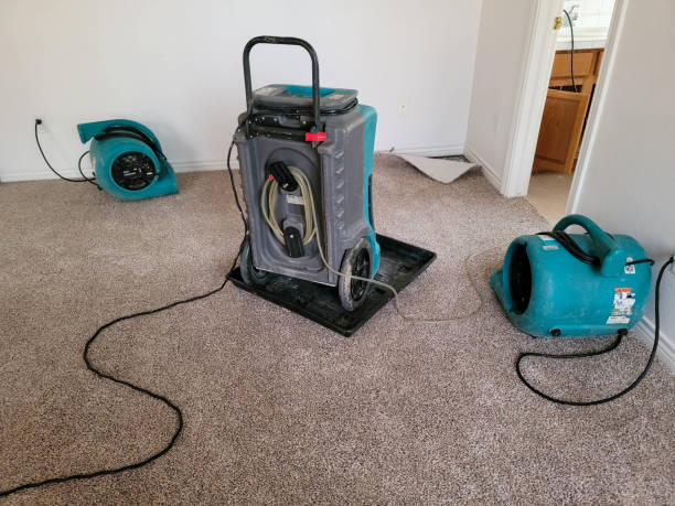 Best Local water damage restoration  in St Paris, OH