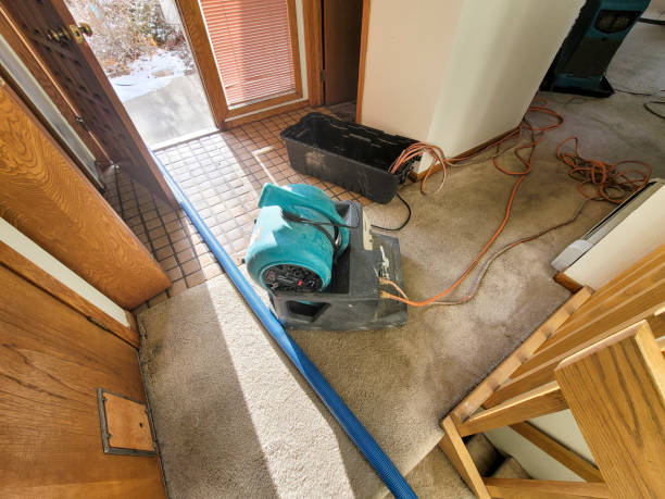 Best Basement water damage restoration  in St Paris, OH