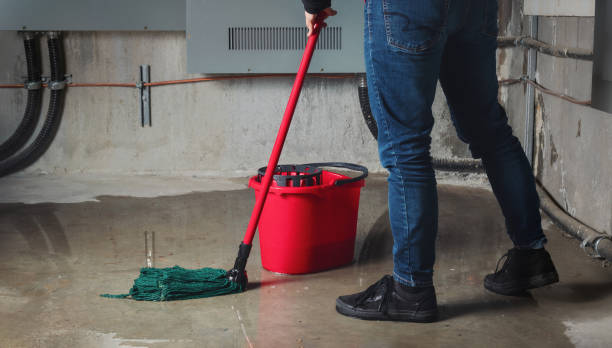 Best Basement water damage restoration  in St Paris, OH