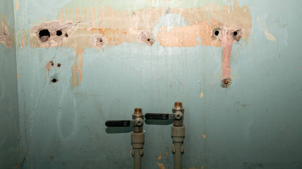 Best Water damage repair service  in St Paris, OH