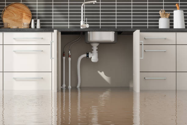 Best 24/7 water damage repair  in St Paris, OH